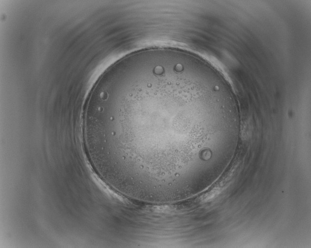 X0000067490903200604071201