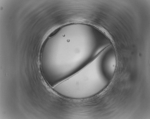 X0000067490904200604071201