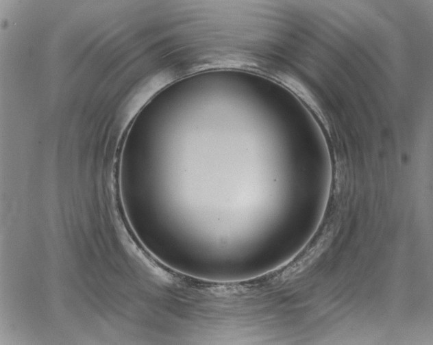 X0000067490906200604071201