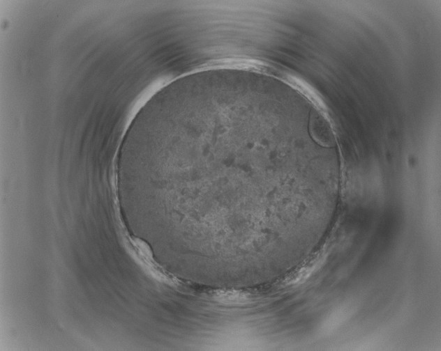 X0000067490907200604071201