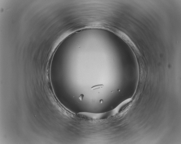 X0000067490908200604071201