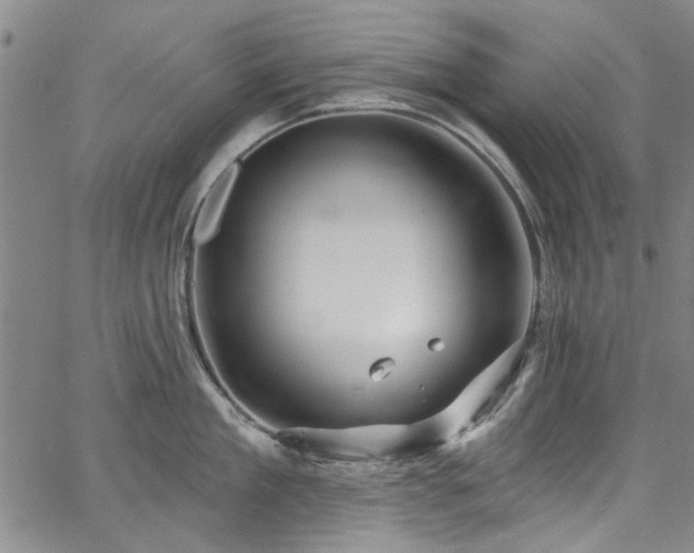 X0000067490909200604071201