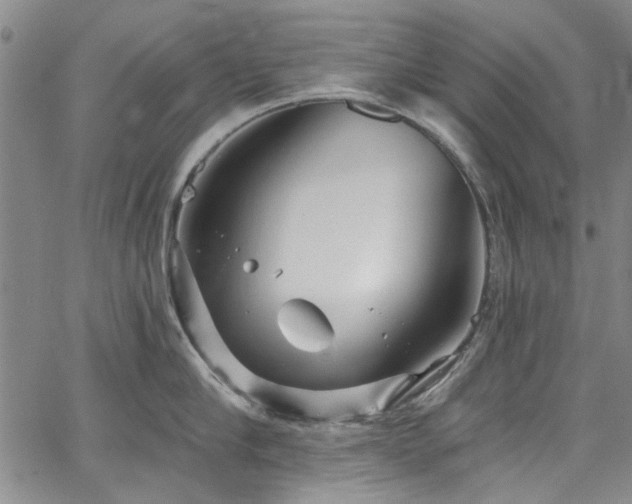 X0000067490910200604071201