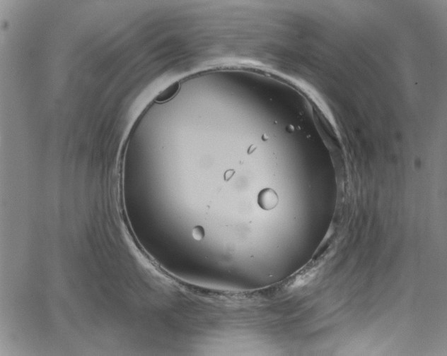 X0000067490911200604071201