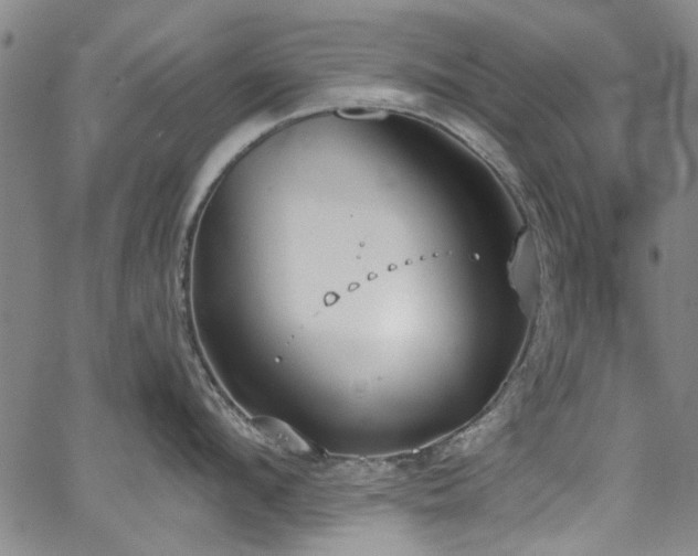 X0000067490912200604071201