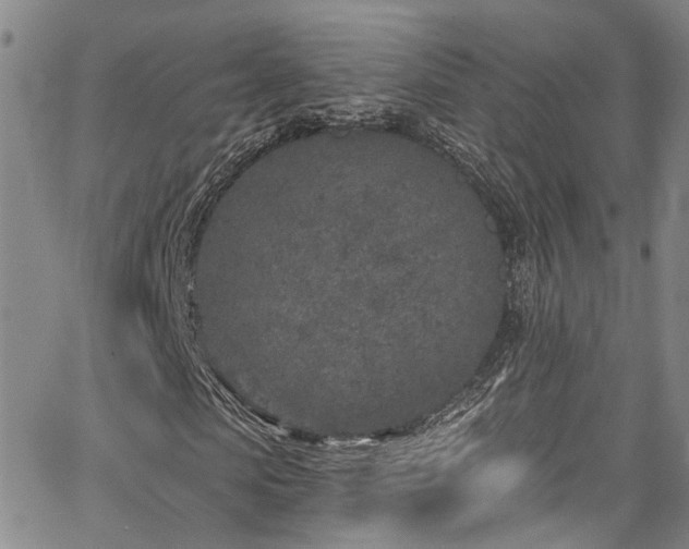 X0000067490913200604071200