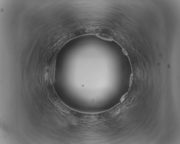 X0000067490914200604071200