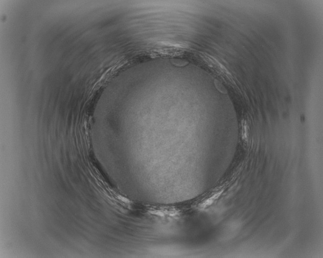 X0000067490915200604071200