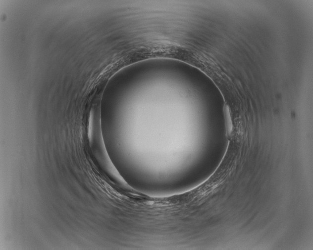 X0000067490916200604071200