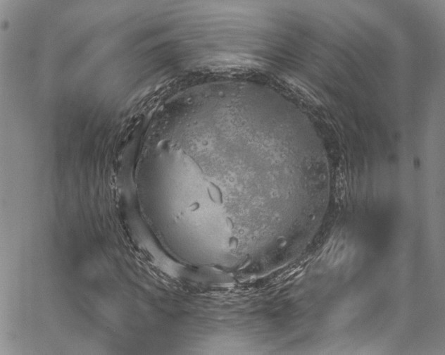 X0000067490917200604071200