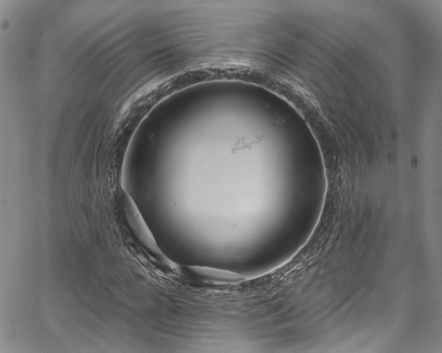 X0000067490920200604071200