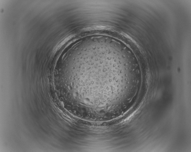 X0000067490921200604071200