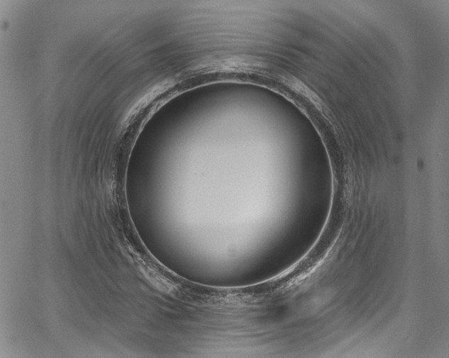 X0000067490922200604071200