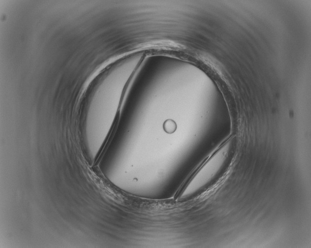 X0000067490923200604071200