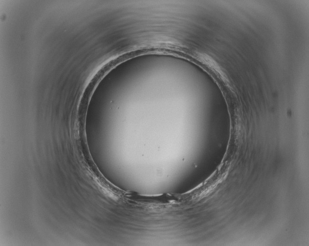 X0000067490924200604071200