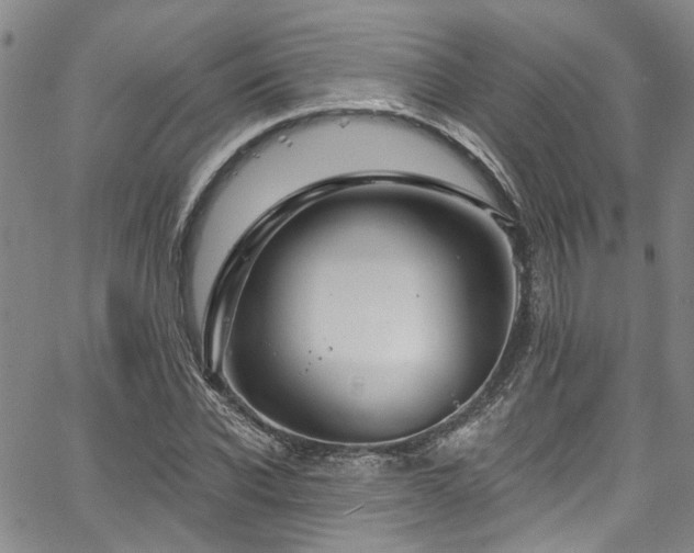 X0000067490926200604071200