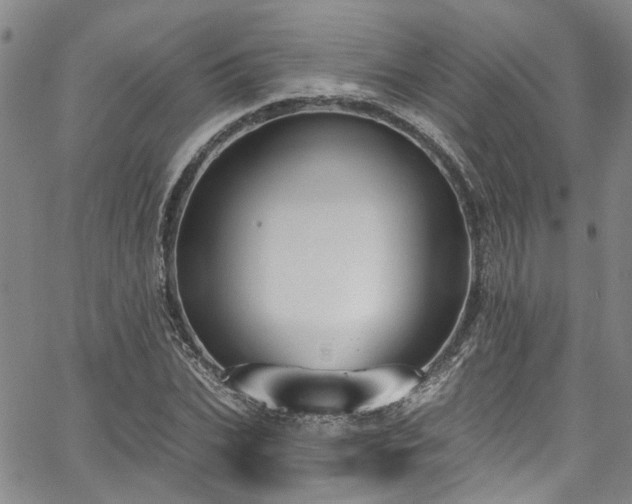 X0000067490927200604071200