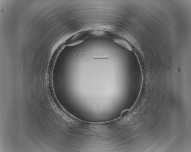 X0000067490928200604071200