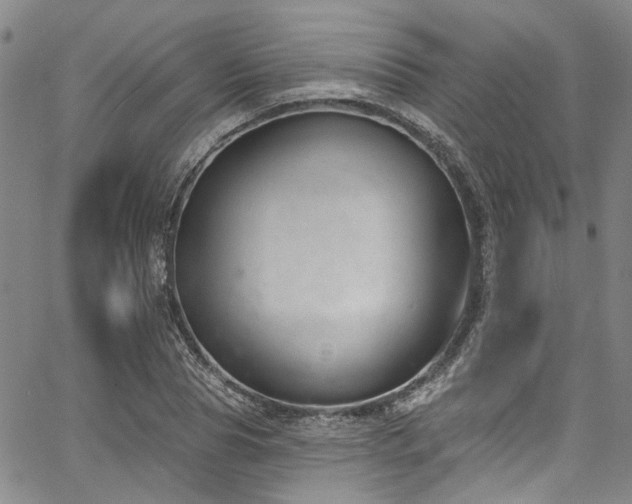 X0000067490929200604071200