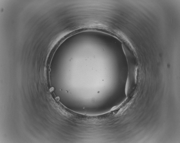 X0000067490932200604071200