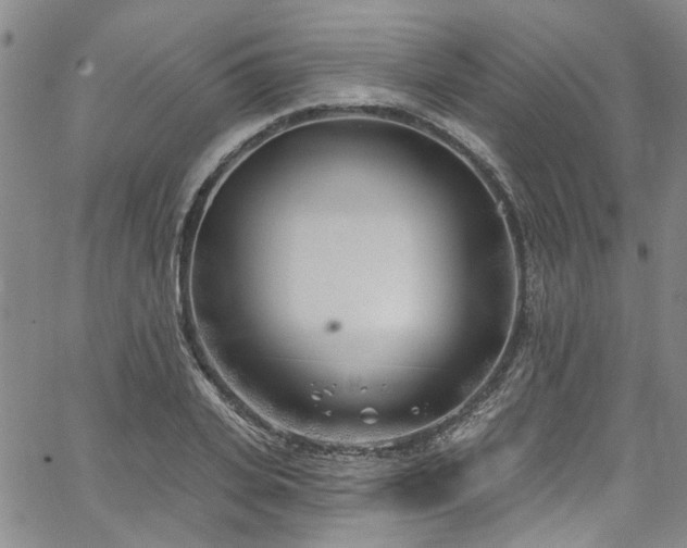 X0000067490935200604071200