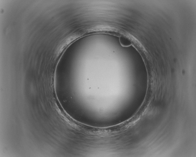 X0000067490937200604071200