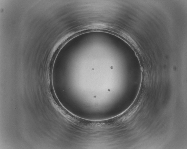 X0000067490939200604071200