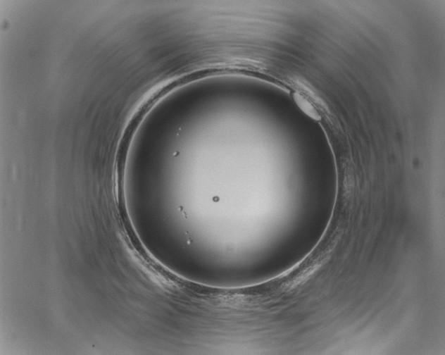 X0000067490940200604071200