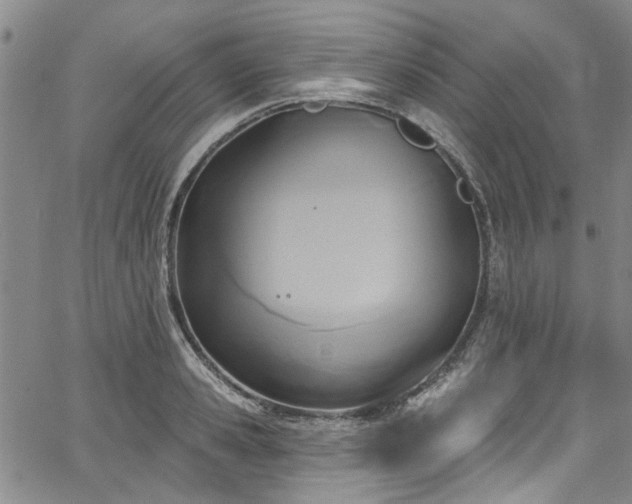 X0000067490941200604071200