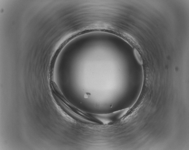 X0000067490942200604071200