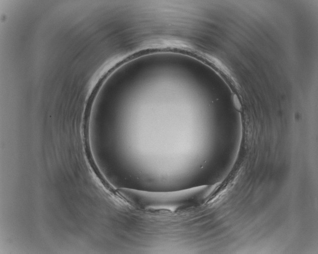 X0000067490943200604071200