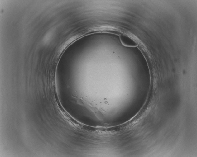 X0000067490945200604071200