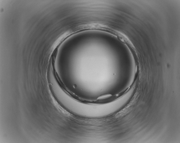 X0000067490946200604071200