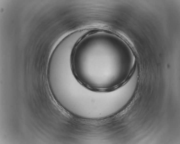 X0000067490948200604071200