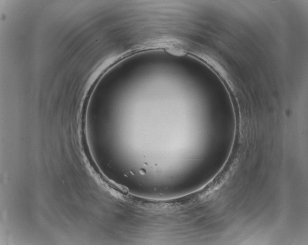 X0000067490949200604071200