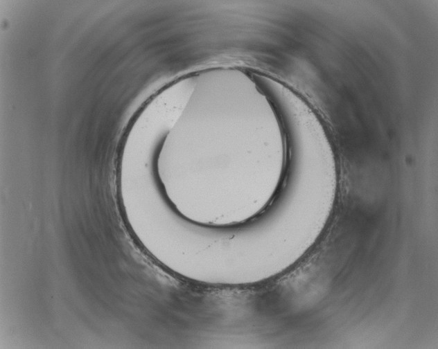 X0000067490950200604071200