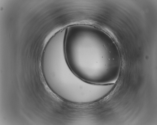 X0000067490952200604071200