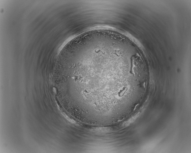 X0000067490953200604071200