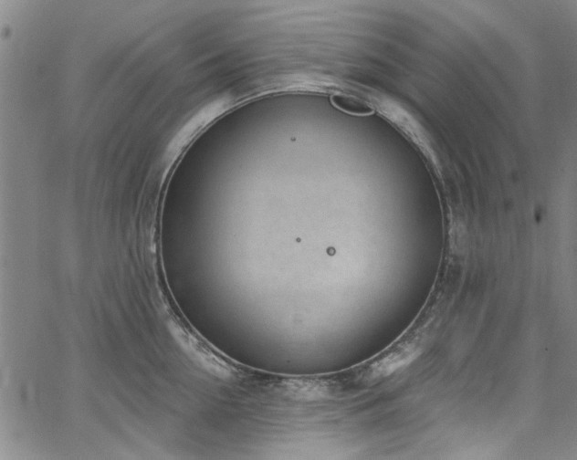 X0000067490954200604071200