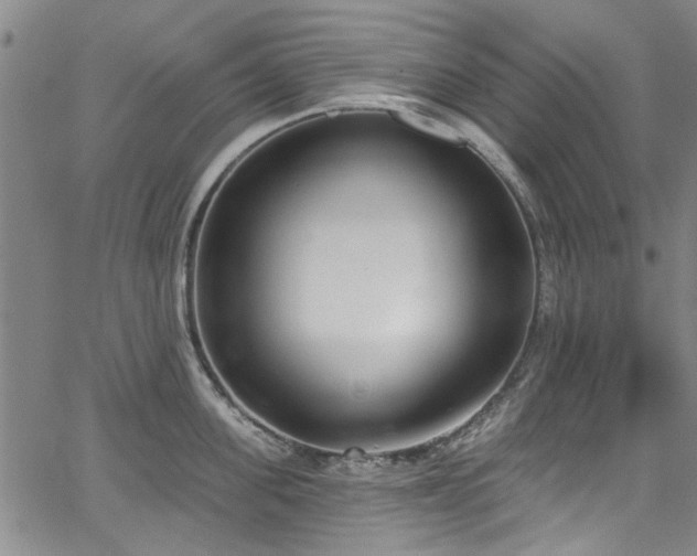 X0000067490955200604071200