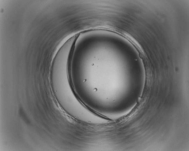 X0000067490956200604071200