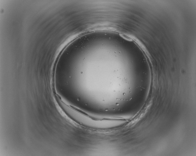 X0000067490957200604071201