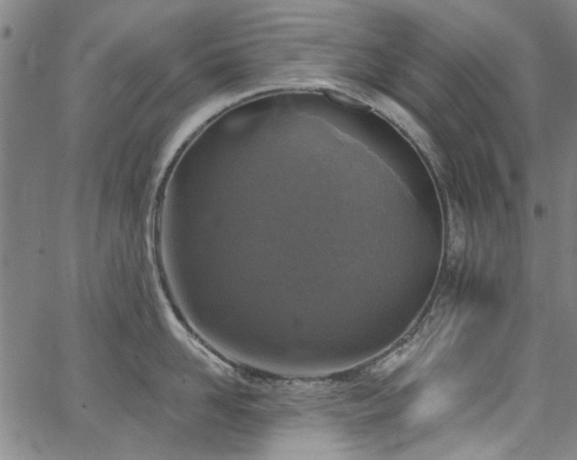 X0000067490958200604071201