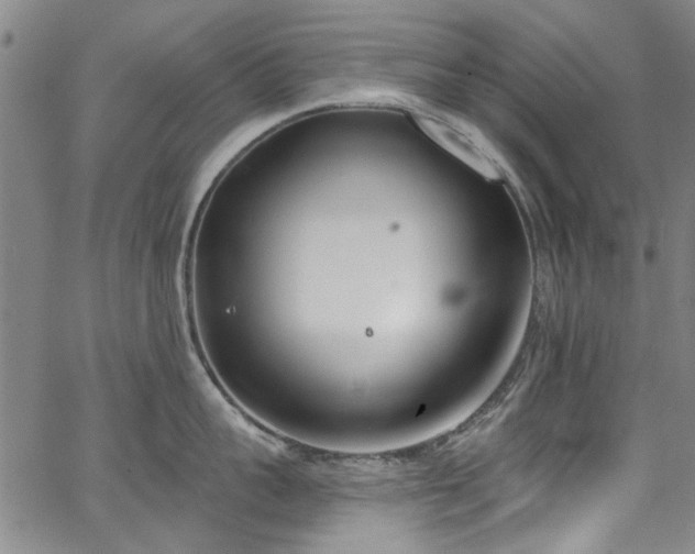 X0000067490959200604071201