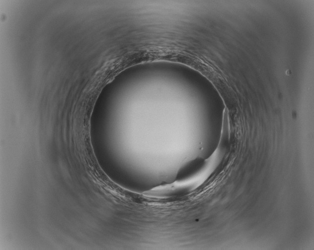 X0000067490961200604071200