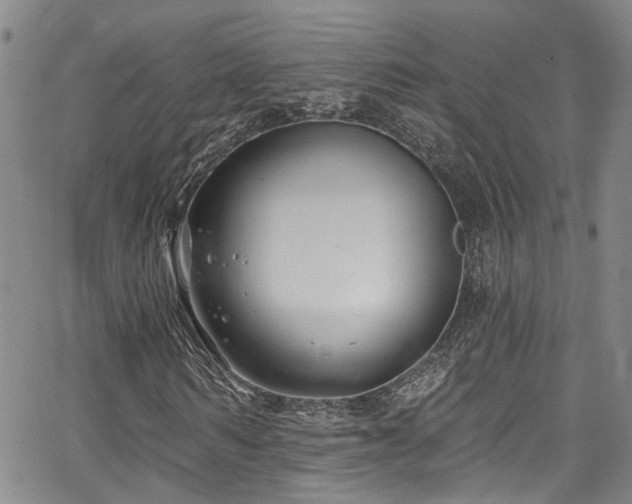 X0000067490962200604071200