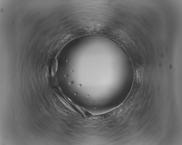 X0000067490963200604071200