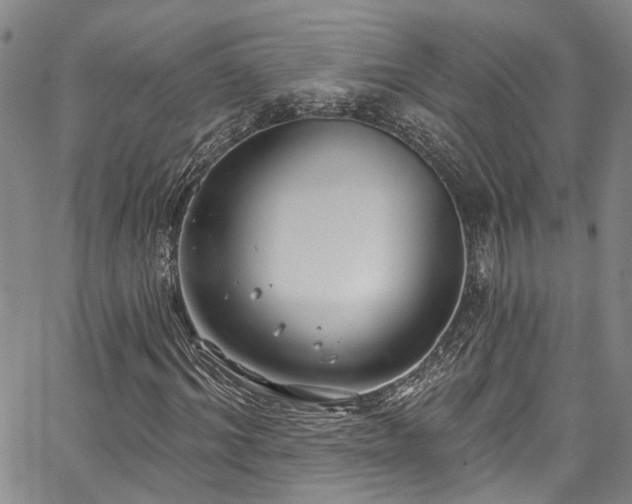 X0000067490964200604071200