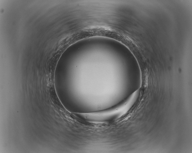 X0000067490965200604071200