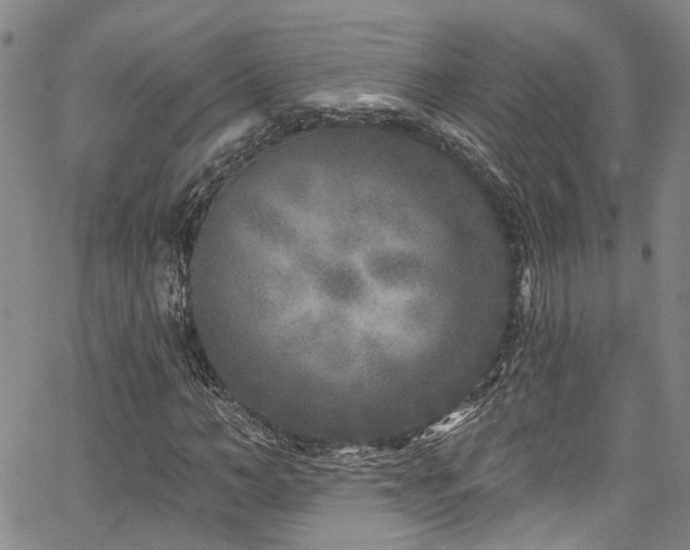 X0000067490966200604071200